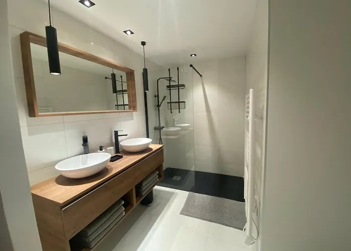 Villa De Charme La Lionne-piscine-12 Pers *