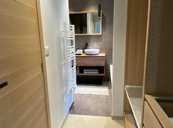 De Charme La Lionne-piscine-12 Pers Saint-Raphaël