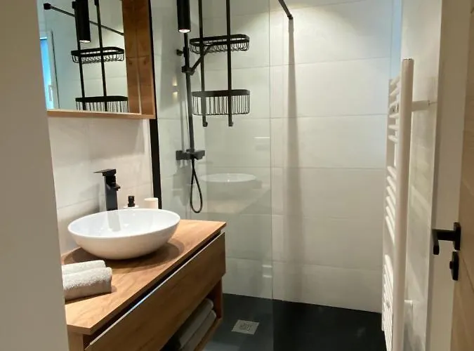 De Charme La Lionne-piscine-12 Pers *