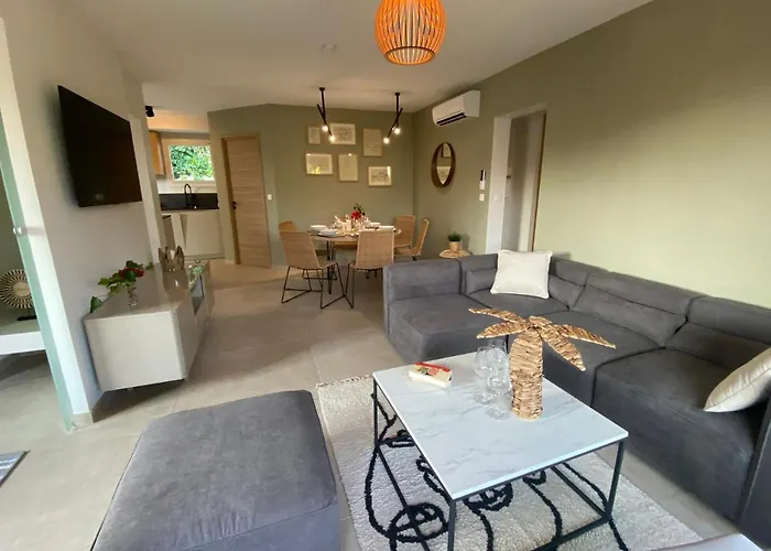 De Charme La Lionne-piscine-12 Pers Saint-Raphaël